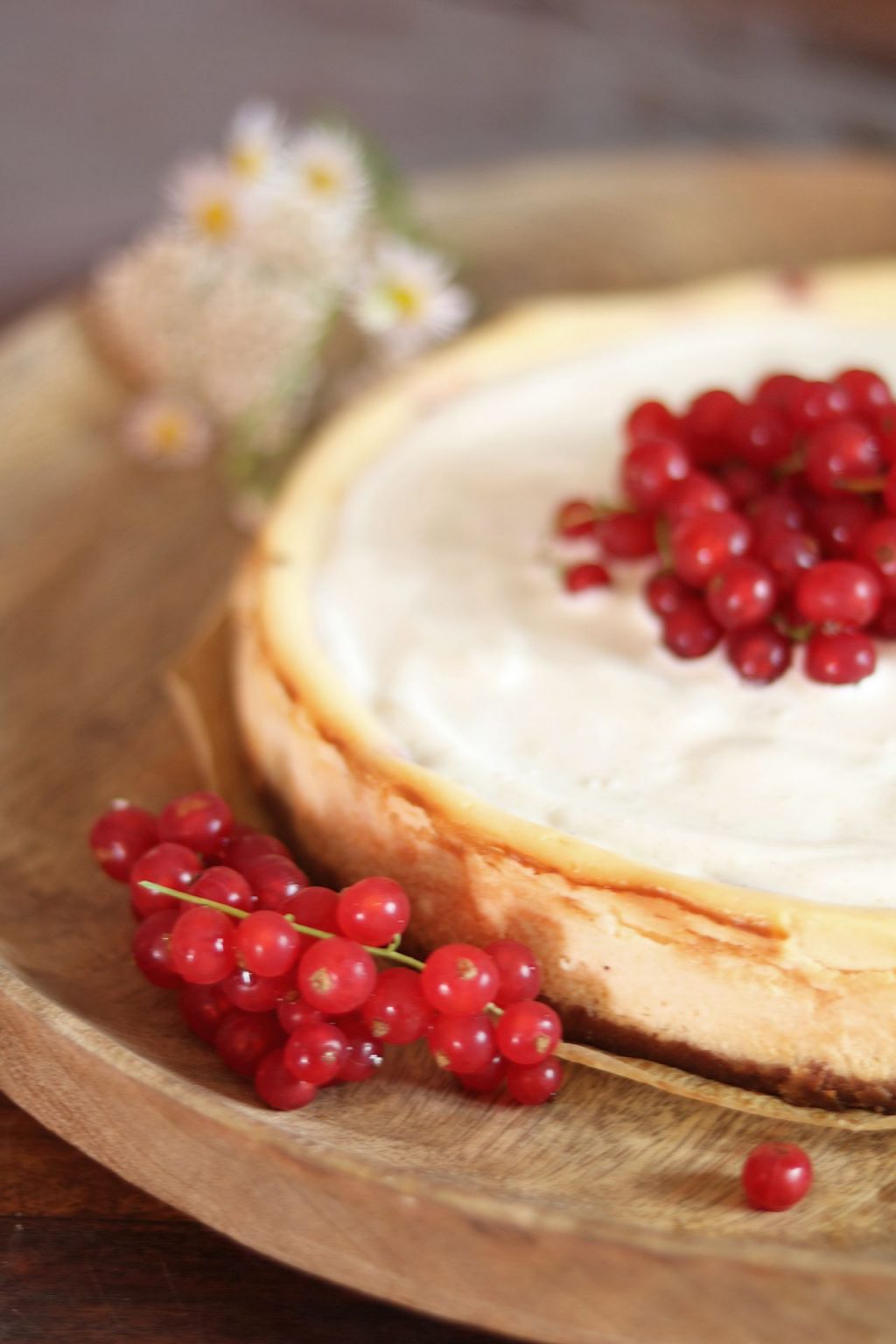 Käsekuchen mit Johannisbeeren und feiner Schmandcreme - Keks &amp; Koriander
